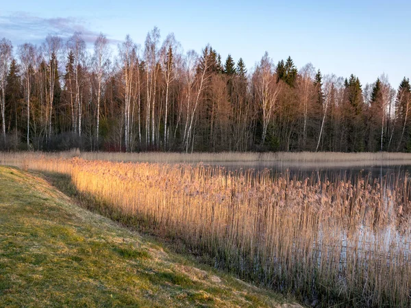 Frühlingslandschaft Mit See Bei Sonnenaufgang Schöner Frühlingsmorgen Sonnenaufgangslandschaft — Stockfoto