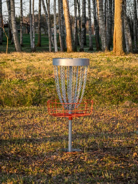 Parkta golf arabası olan bir bahar manzarası, sabah huş ağacı koruluğu.
