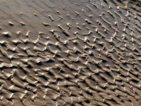 Background Fine Wet Sand Sand Textures Sand Beach Background — Stock Photo, Image