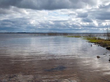Göl manzarası, bahar zamanı, Burtnieki Gölü, Letonya
