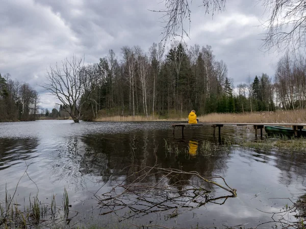 Tidig Vår Landskap Vid Sjön Stora Vissnade Träd Siluett Vattnet — Stockfoto