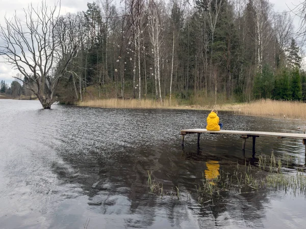 Tidig Vår Landskap Vid Sjön Stora Vissnade Träd Siluett Vattnet — Stockfoto