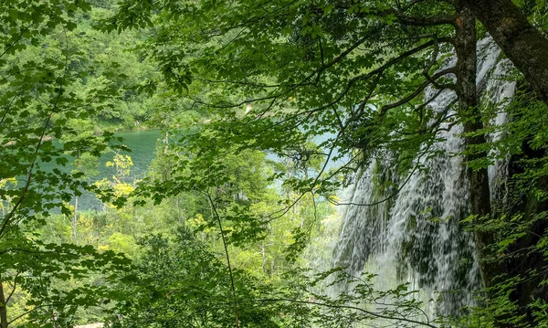 Beautifull Waterfalls Streams Crystal Clear Water Plitvice Lakes National Park — Stock Photo, Image