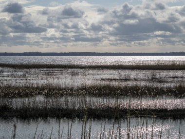 Göl manzarası, bahar zamanı, Burtnieki Gölü, Letonya