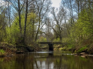 Küçük, vahşi bir nehri olan güzel bir manzara, ilk bahar yeşilliği, arka plandaki köprünün silueti, nehir suyundaki yansımalar.