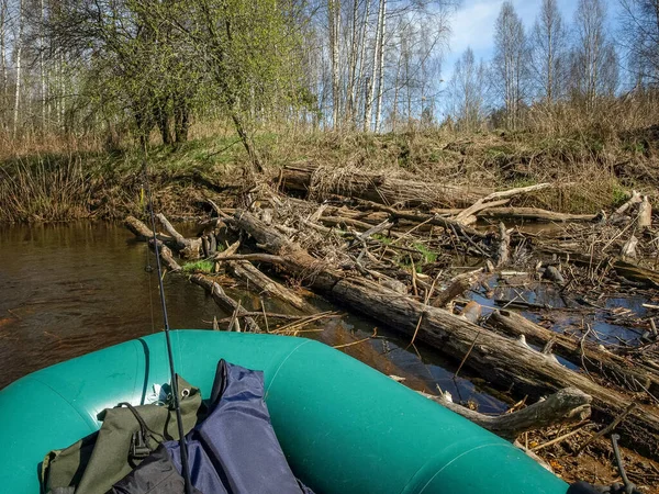 Paisaje Con Una Pequeña Orilla Del Río Salvaje Troncos Árboles —  Fotos de Stock