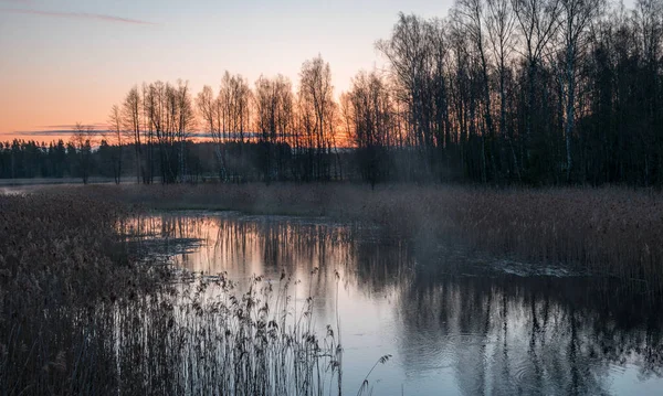 Paysage Avec Une Petite Rivière Lever Soleil Reflets Arbres Dans — Photo