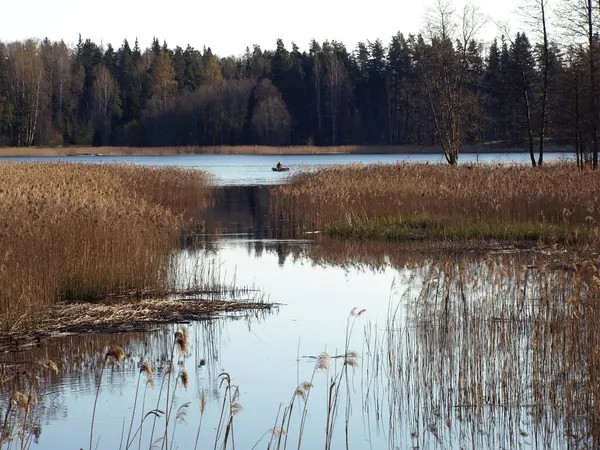 Vackert Landskap Med Stranden Liten Vild Flod Den Första Våren — Stockfoto