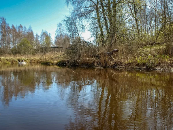 Ландшафт Невеликим Диким Берегом Річок Перша Весняна Зелень Очерет Минулого — стокове фото
