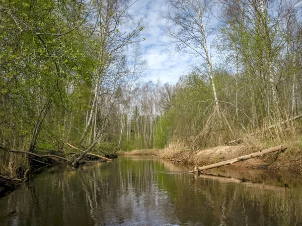 小さな野生の川のほとりと美しい風景 最初の春の緑 川の水の反射 — ストック写真