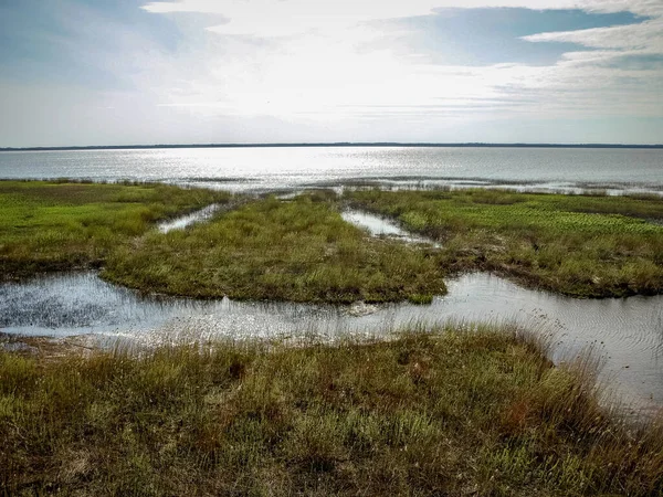 Göl Kıyısı Sel Basmış Çayırları Ilk Bahar Yeşilliği Duvar Kağıdı — Stok fotoğraf