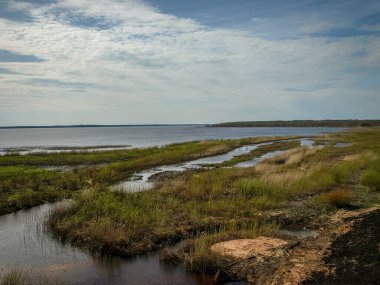 Göl kıyısı, sel basmış çayırları, ilk bahar yeşilliği, duvar kağıdı, Silzemnieki çayırları, Burtnieks, Letonya