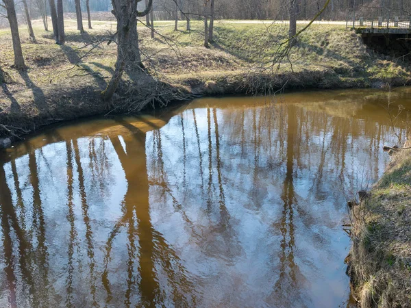 Solig Dag Tidigt Våren Med Klarblå Himmel Stranden Liten Flod — Stockfoto