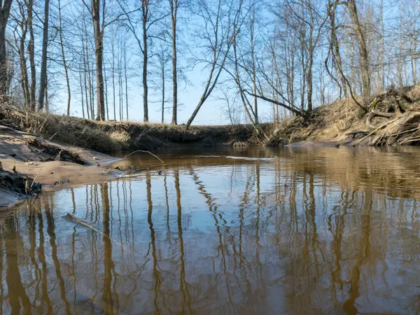 Een Zonnige Dag Het Vroege Voorjaar Met Heldere Blauwe Luchten — Stockfoto