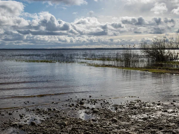 Пейзаж Озером Весеннее Время Озеро Буртниеки Латвия — стоковое фото