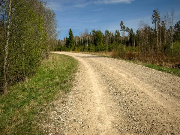 Frühlingslandschaft Mit Einer Einfachen Landstraße Das Erste Helle Frühlingsgrün Die — Stockfoto