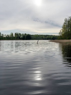 Sakin su manzarası, güzel yansımalar, ufukta orman silueti.