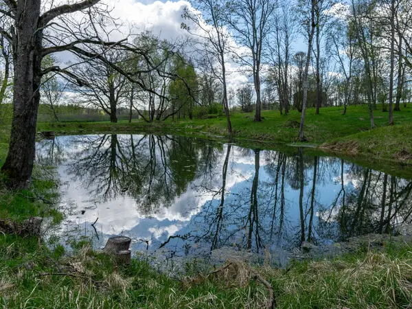 Färgglada Vårlandskap Med Träd Silhuetter Grönt Gräs Och Liten Damm — Stockfoto