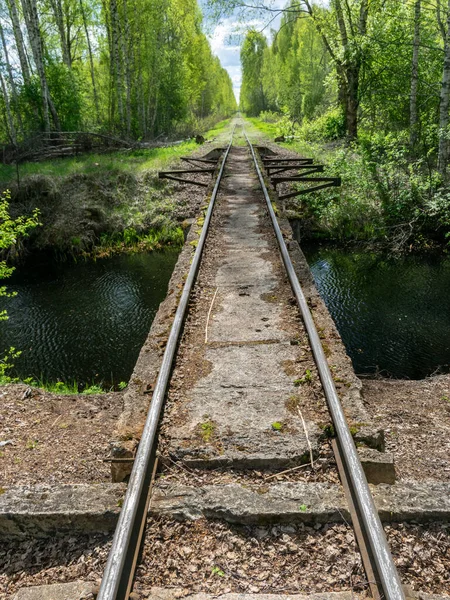 Paisagem Com Uma Ponte Sobre Uma Vala Brejo — Fotografia de Stock