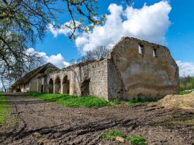 Manor Park 'taki eski bir bina duvarının parçalarıyla manzara