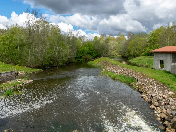 Nehirli güzel bir bahar manzarası, nehir kıyısındaki ilk parlak bahar yeşilliği.
