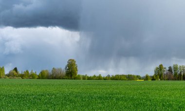 Gri tarlalardan ve yeşil otlardan gelen bahar kırsal arazisi kümülüs ve yağmur bulutlarıyla dolu yüksek mavi gökyüzü.