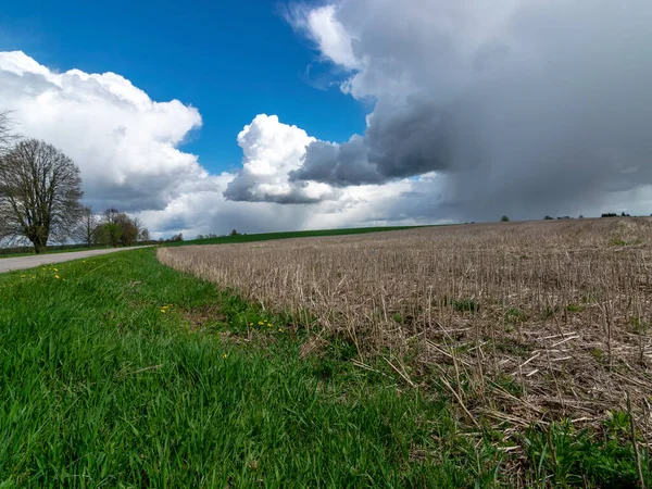 Весняний Сільський Пейзаж Сірого Поля Землі Зеленої Трави Високе Блакитне — стокове фото