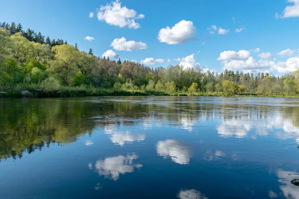 colorful spring landscape with a river in the waters of which clouds are reflected, the banks of the river are covered with trees, the first spring greenery in nature, the river Gauja, Latvia