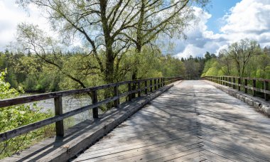 Eski köprü dokusuna, parlak yeşil ağaçlara ve çimenlere sahip bahar manzarası,