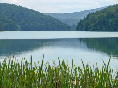 Turkuaz suyu, Plitvice Gölleri Ulusal Parkı ve Hırvatistan 'ın yeşil yaz ormanında küçük bir göl