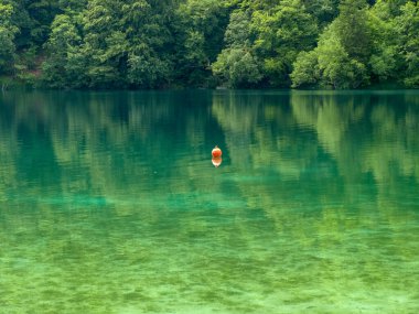 Turkuaz suyu, Plitvice Gölleri Ulusal Parkı ve Hırvatistan 'ın yeşil yaz ormanında küçük bir göl