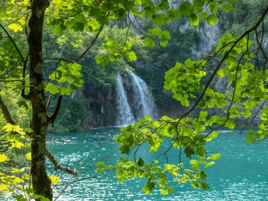 Güzel şelaleler ve dereler, Hırvatistan 'ın Plitvice Gölleri Ulusal Parkı' ndaki kristal berrak su