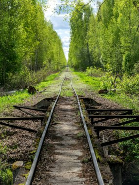 Bataklık hendeğinin üzerinde köprüsü olan bir manzara,