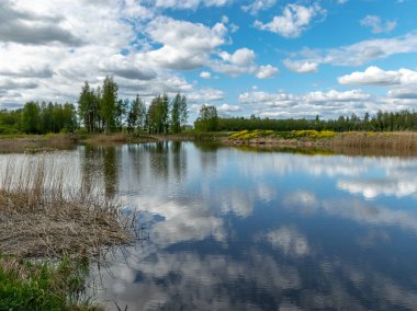Kümülüs bulutlarının gölde yansıdığı güzel, sakin bir gökyüzü manzarası.