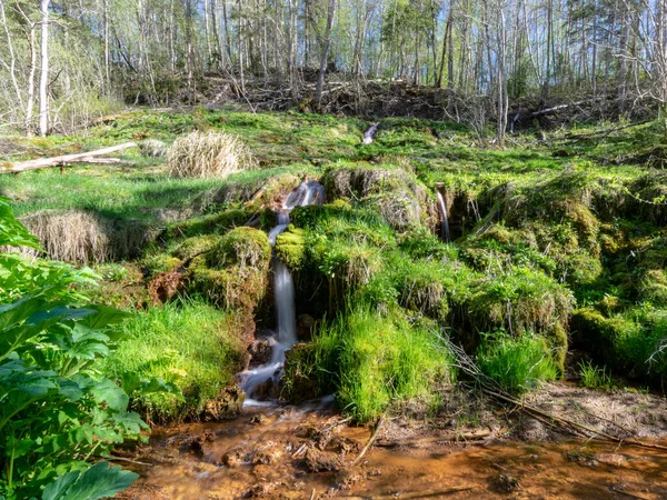 Misteriosa Larga Exposición Con Cascada Río Primavera Piedras Musgo Verde — Foto de Stock