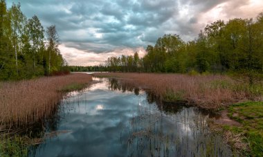 Suyun içinde güzel gökyüzü, bulutlar ve ağaç yansımaları olan renkli bahar manzarası.