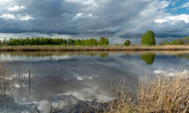 Kümülüs bulutlarının gölde yansıdığı güzel, sakin bir gökyüzü manzarası. Geçen yılın kuru sazları.