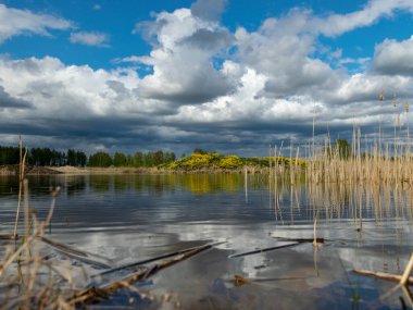 Kümülüs bulutlarının gölde yansıdığı güzel, sakin bir gökyüzü manzarası. Geçen yılın kuru sazları.