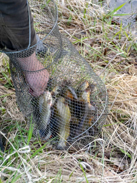 Picture Fish Net Water Human Hand Trying Catch Fish Fishing — Stock Photo, Image