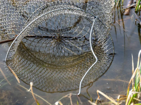 Bild Mit Fischnetz Wasser Angeln Als Freizeitkonzept Wasser Und Trockene — Stockfoto