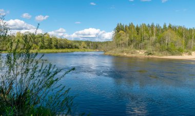 Bulutların yansıdığı sularda bir nehir bulunan renkli bahar manzarası, nehrin kıyıları ağaçlarla kaplı, doğadaki ilk bahar yeşilliği, Gauja nehri, Letonya