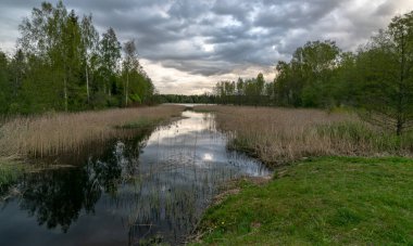 Suyun içinde güzel gökyüzü, bulutlar ve ağaç yansımaları olan renkli bahar manzarası.