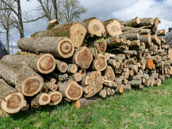 Obrázek Hromadou Řeziva Dřevěná Hromada Rezervy Zimu Hromada Sekaného Dřeva — Stock fotografie