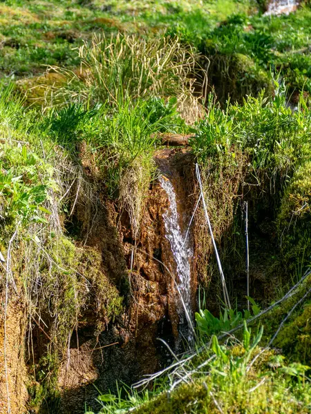 Immagine Con Verde Brillante Muschio Invaso Riva Del Fiume Scorre — Foto Stock