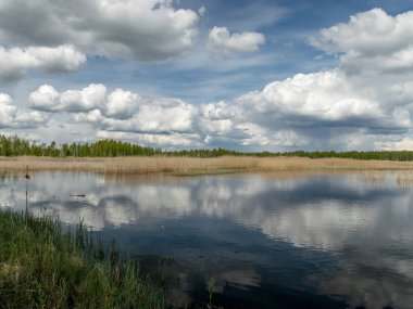 Bahar manzarası gelişmiş bir bataklık gölü, bataklık çayırları ve bataklıklar harika kümülüs bulutları ve su yansımaları, Sedas fundalığı, Letonya