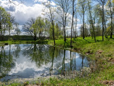 Renkli bahar manzarası ağaç siluetleri, yeşil çimenler ve küçük bir gölet, sudaki bulutların ve ağaçların yansımaları.