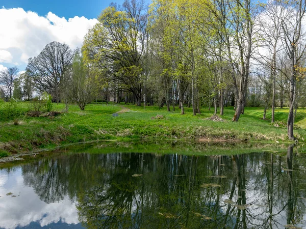 五彩缤纷的春景 树型轮廓 绿草和一个小池塘 水中的云彩和树木倒映在一起 — 图库照片