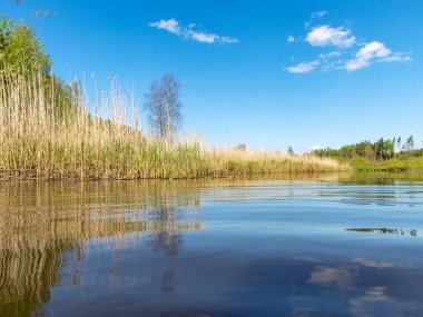 Baharda güzel bir nehri olan manzara, Sudaki bulut yansımaları, Seda Nehri, Letonya