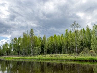 güzel sakin bir nehir, nehir kıyısında yeşil ağaçlar ve çimenler, nehir suyunda huzurlu bir yansıma, Sedas Nehri, Letonya
