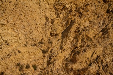 Kayalar arka plan doku